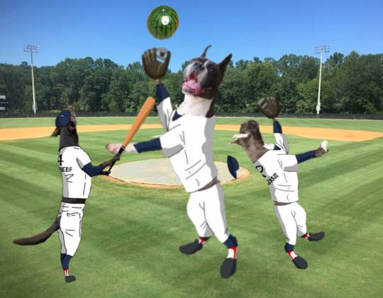 生き物ルーム第48