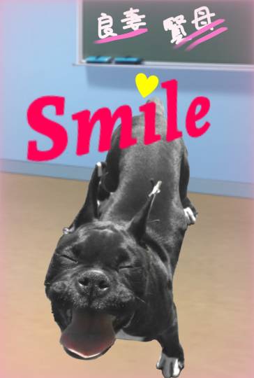 生き物ルーム第48