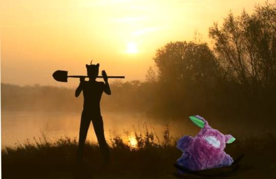 生き物ルーム第48