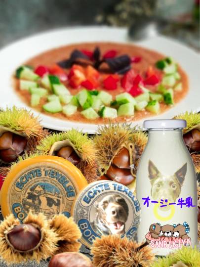 生き物ルーム第48