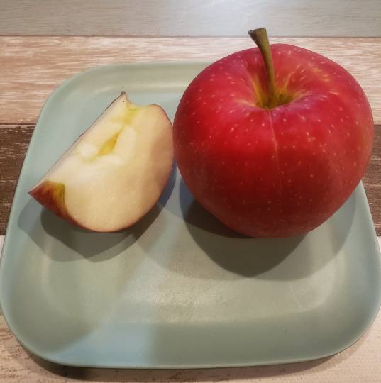 マスク同窓会詰所兼ニューフェイス歓迎所28(絆)