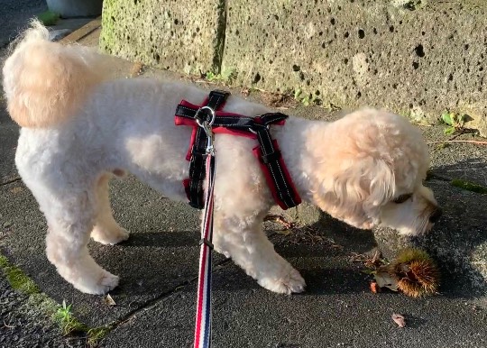 生き物ルーム第48