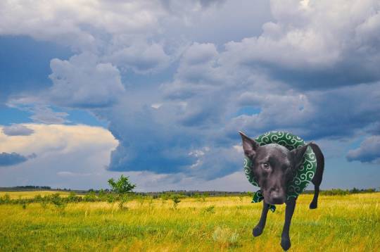 EGG&#039;S CAFE 　イイ表情お願いしますぅ～♪