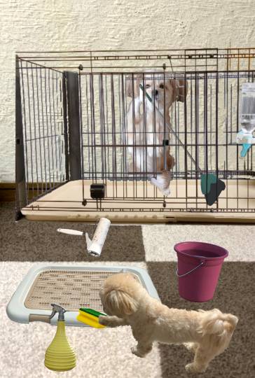 生き物ルーム第48