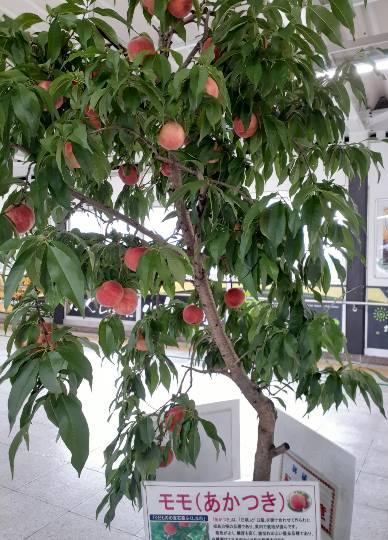 EGG'S CAFE イイ表情お願いしますぅ~♪