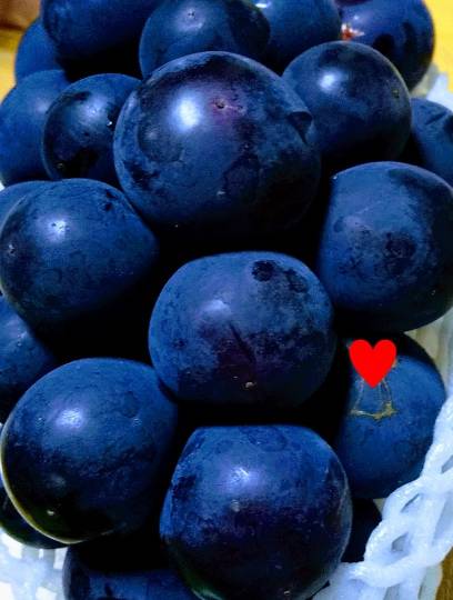 EGG'S CAFE イイ表情お願いしますぅ~♪