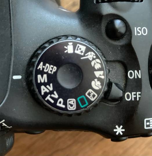 あつまれ‼︎雑談&ゲーム好きの森 season2#5 ドンとなった花火だ きれいだな〜♪♪