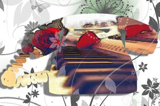 ★ドンキ♡♡ロピア 雑談43★