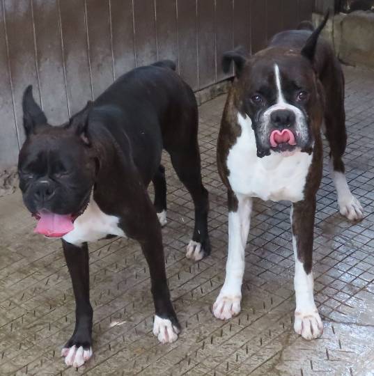 生き物ルーム第48