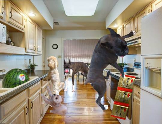 生き物ルーム第48