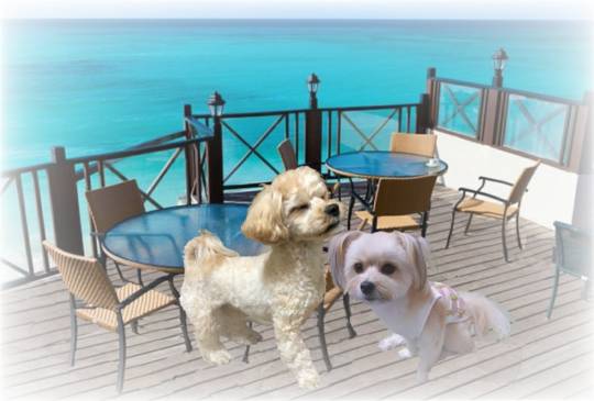 生き物ルーム第48