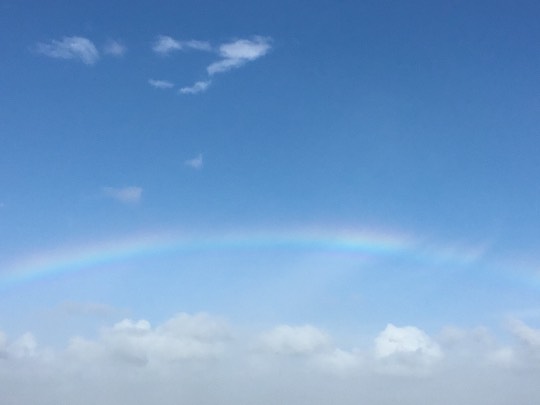 ★ドンキ♡♡ロピア 雑談42★