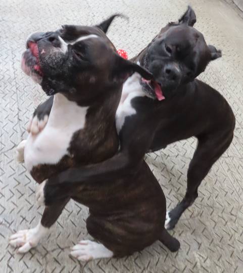 生き物ルーム第48