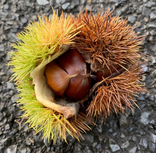 生き物ルーム第48