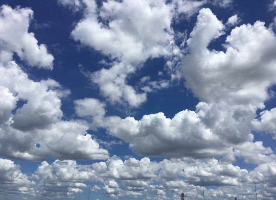 ★ドンキ♡♡ロピア 雑談41★