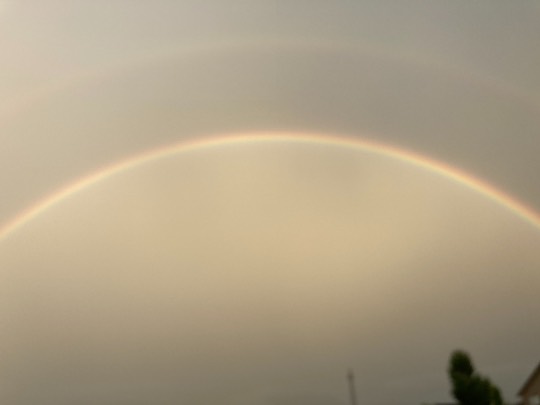 マスク同窓会詰所兼ニューフェイス歓迎所28(絆)