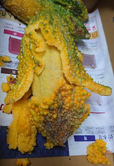 生き物ルーム第48