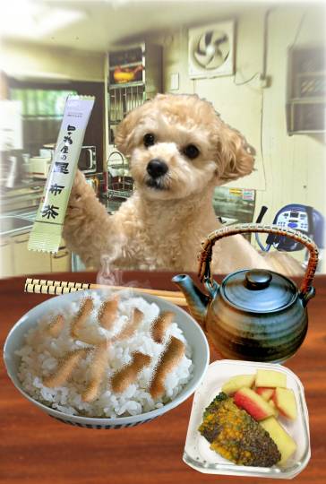 生き物ルーム第48