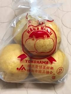 マスク同窓会詰所兼ニューフェイス歓迎所28(絆)