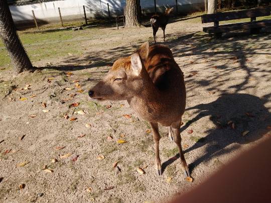 ★ドンキ♡♡ロピア 雑談43★