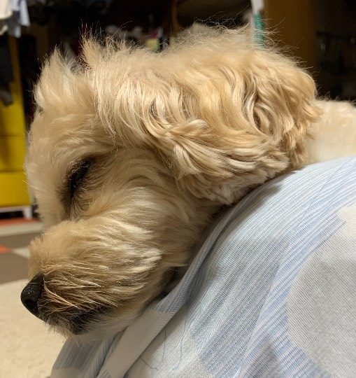 生き物ルーム第47