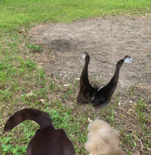 生き物ルーム第48