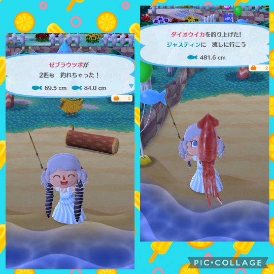 あつまれ‼︎雑談&ゲーム好きの森 season2#5 ドンとなった花火だ きれいだな〜♪♪