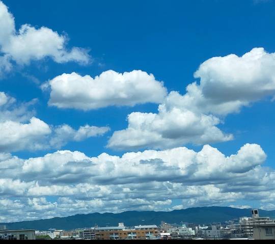 ★ドンキ♡♡ロピア 雑談41★