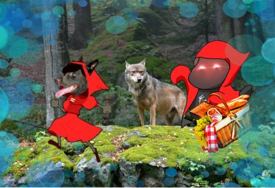 生き物ルーム第48