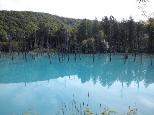 ★ドンキ♡♡ロピア 雑談43★