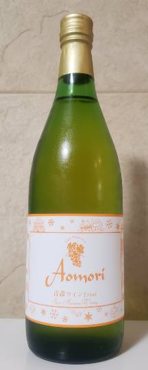 マスク同窓会詰所兼ニューフェイス歓迎所29(希望)