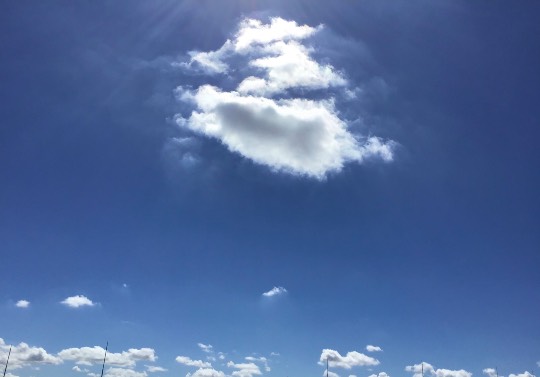 ★ドンキ♡♡ロピア 雑談41★