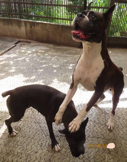 生き物ルーム第48