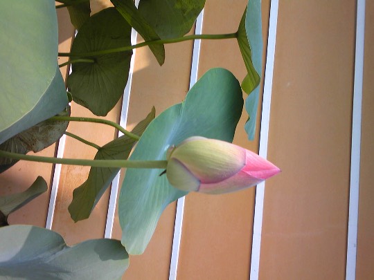 EGG'S CAFE 　イイ表情お願いしますぅ～♪