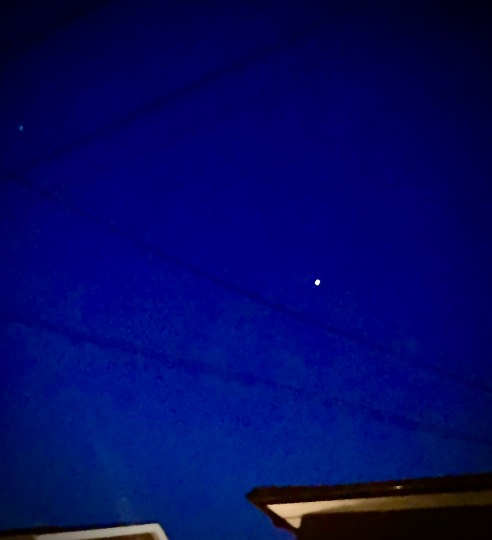 あつまれ‼︎雑談&ゲーム好きの森 season2#5 ドンとなった花火だ きれいだな〜♪♪