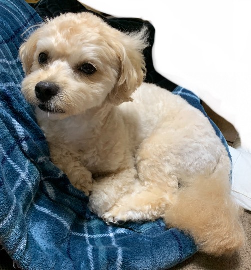 生き物ルーム第48