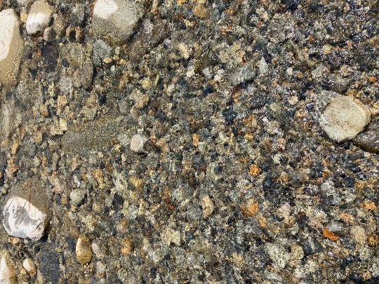 あつまれ‼︎雑談&ゲーム好きの森 season2#5 ドンとなった花火だ きれいだな〜♪♪