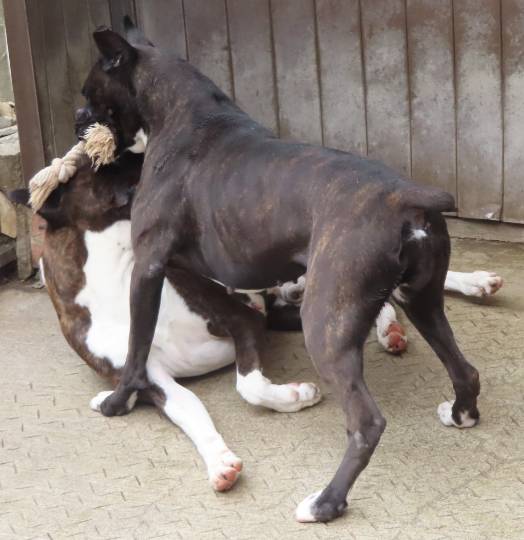 生き物ルーム第48