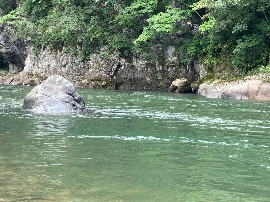 あつまれ‼︎雑談&ゲーム好きの森 season2#5 ドンとなった花火だ きれいだな〜♪♪