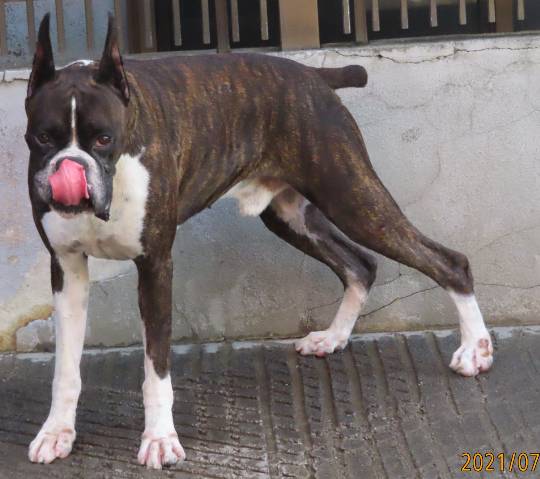 生き物ルーム第48