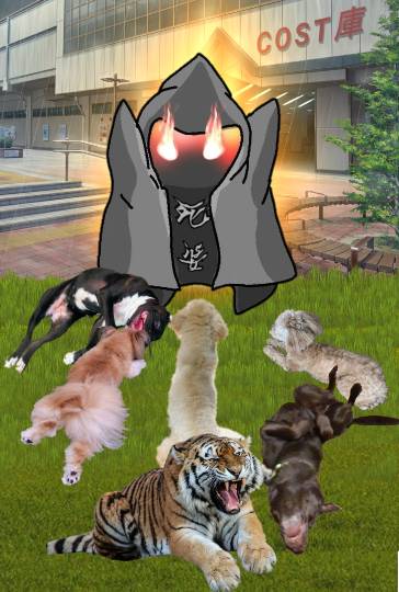 生き物ルーム第48