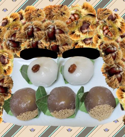 生き物ルーム第48