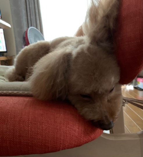 生き物ルーム第48