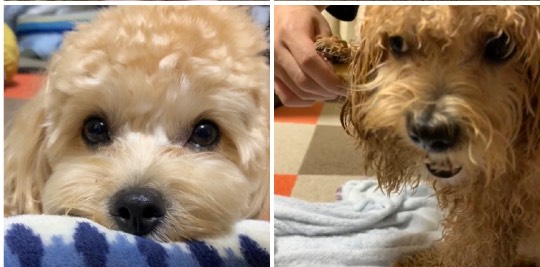 生き物ルーム第48