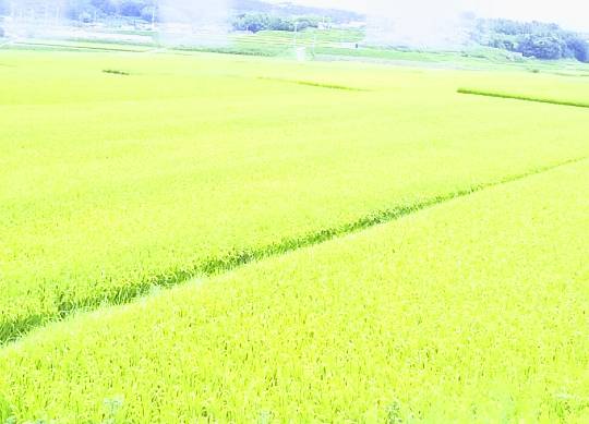 ◆(13)関西版 雑談◆〜関西以外の方も話の輪にどうぞ♪