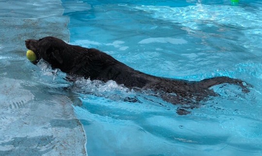 生き物ルーム第49