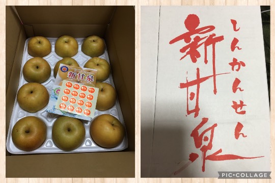 ★ドンキ♡♡ロピア 雑談44★