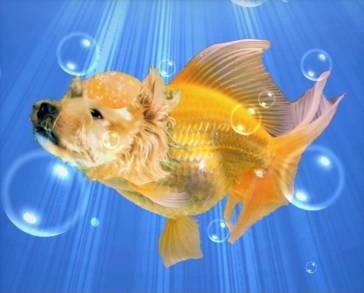 生き物ルーム第48