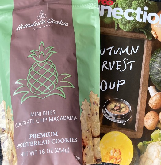 あつまれ‼︎雑談&ゲーム好きの森 season2#5 ドンとなった花火だ きれいだな〜♪♪