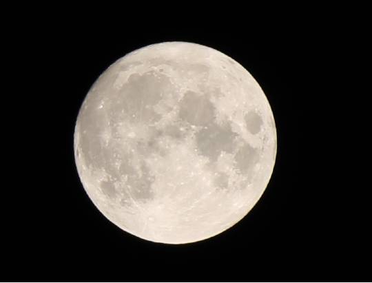 あつまれ!!雑談&ゲーム・アニメ・漫画好きの森 season2#6